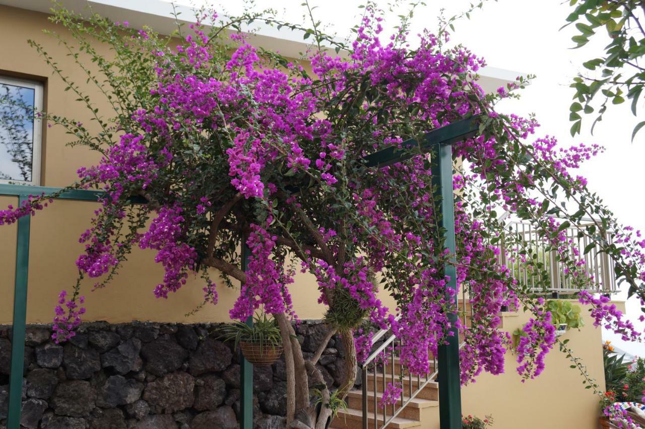 Casa Aloe Villa El Paso Eksteriør bilde