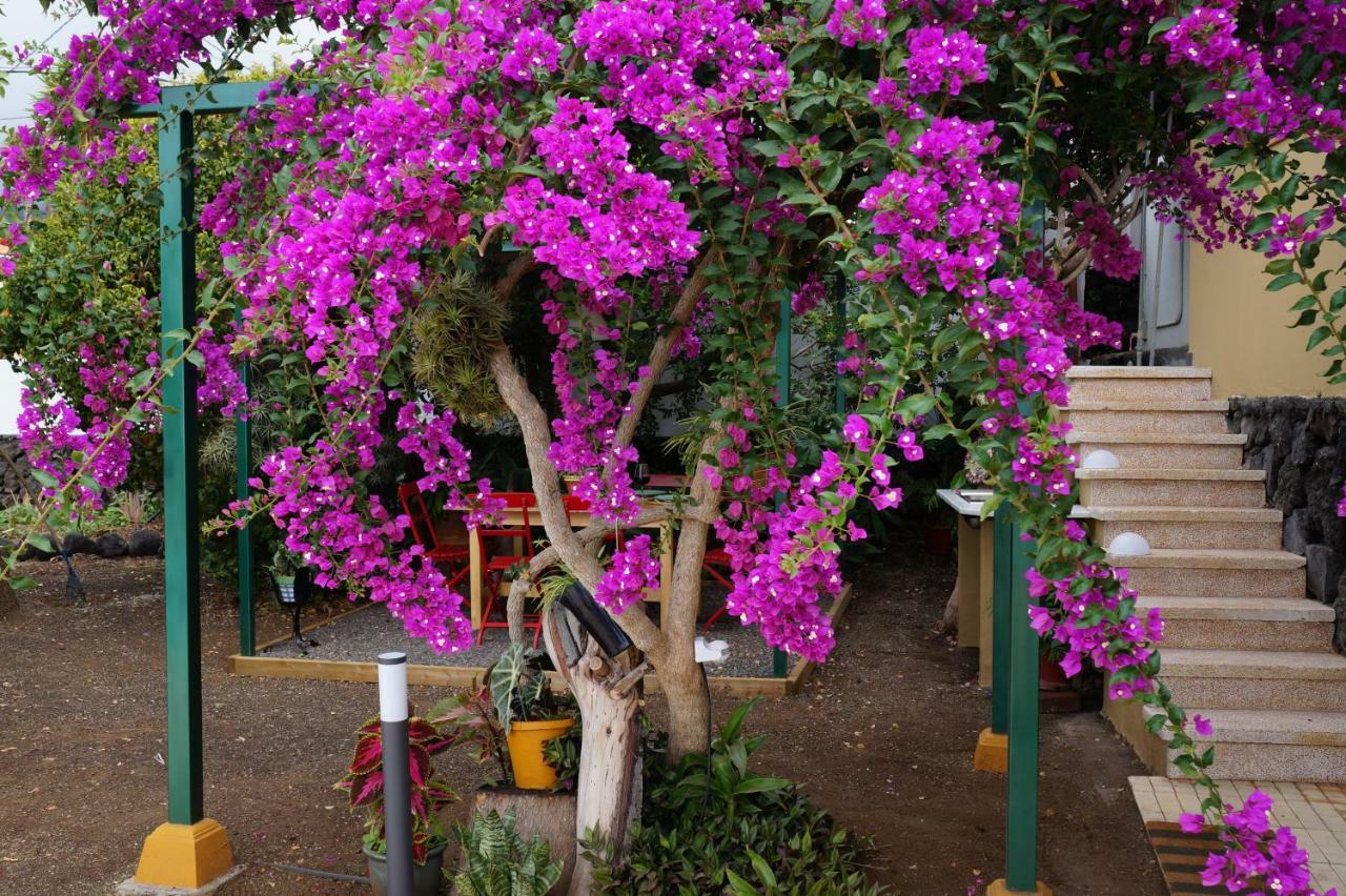 Casa Aloe Villa El Paso Eksteriør bilde